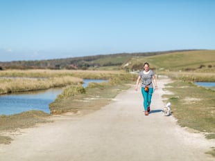 Campaign urges dog owners to protect South Downs